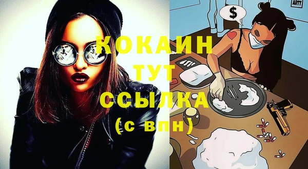 шишки Горно-Алтайск