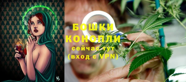 мдпв Надым