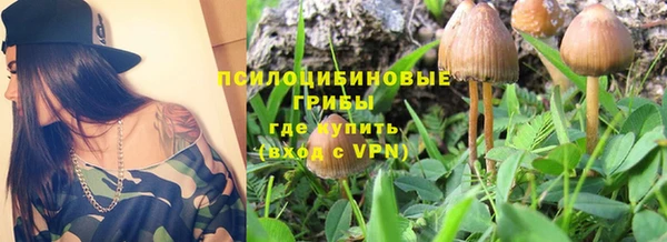мдпв Надым