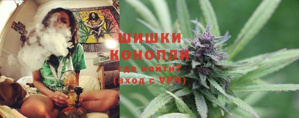 мдпв Надым