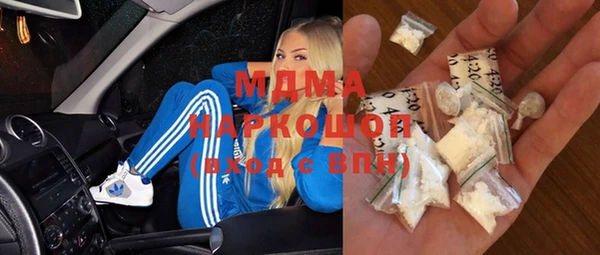 индика Алагир