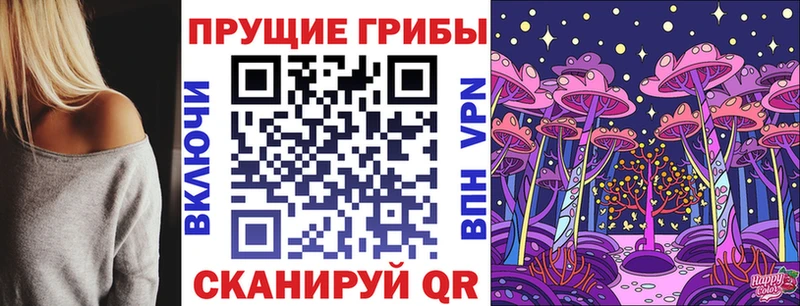 Псилоцибиновые грибы мухоморы  наркота  Купино 